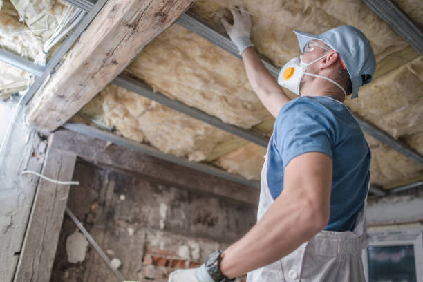 Best Insulation Installation Services in Springfield, OH